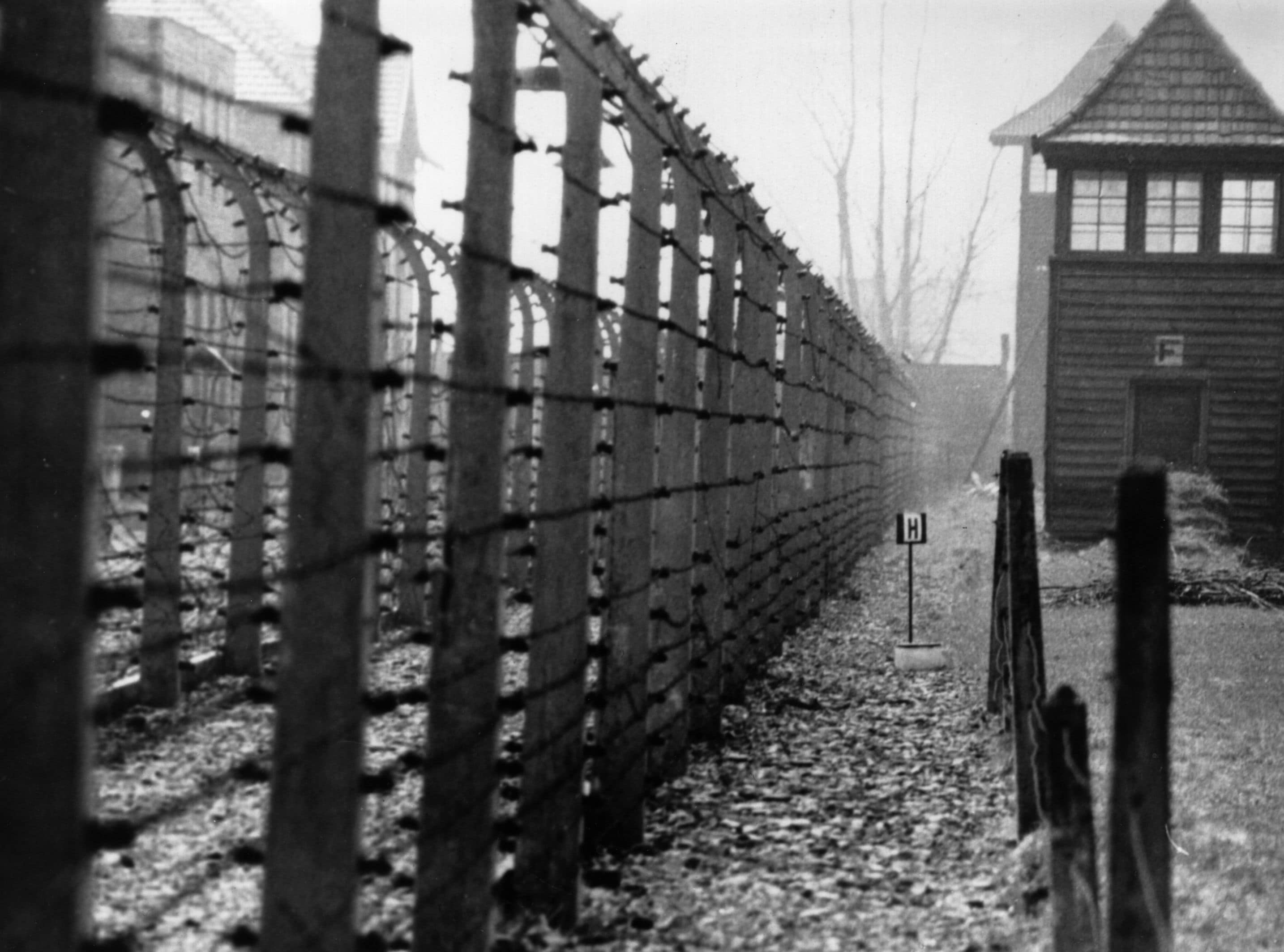 immagini campo di concentramento di auschwitz